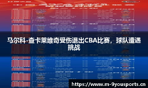 马尔科-查卡莱维奇受伤退出CBA比赛，球队遭遇挑战